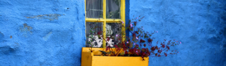 A bright yellow window with plants in front, on a blue wall.